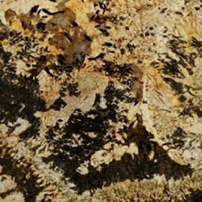Delicatus Brown (Деликатус Браун)