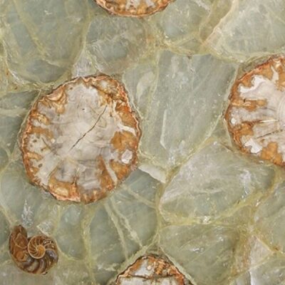 Fossilized Quartz (Фоссилайзд Кварц)