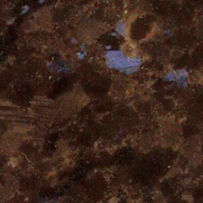 Labrador Antiqua (Лабрадор Антигуа)
