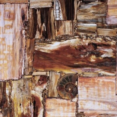Retro Petrified Wood (Ретро Петрифайд Вуд)